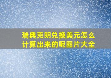 瑞典克朗兑换美元怎么计算出来的呢图片大全