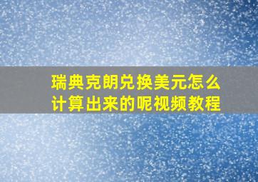 瑞典克朗兑换美元怎么计算出来的呢视频教程