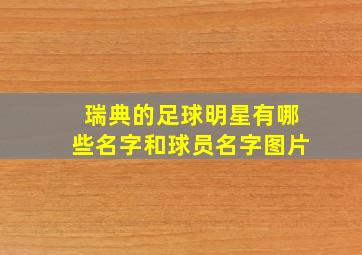 瑞典的足球明星有哪些名字和球员名字图片