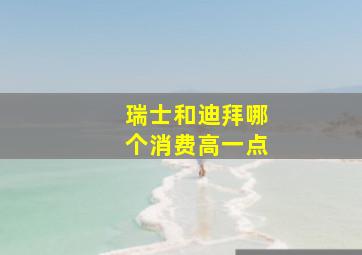 瑞士和迪拜哪个消费高一点