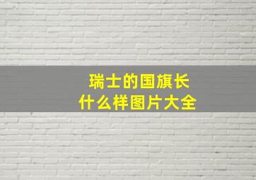 瑞士的国旗长什么样图片大全