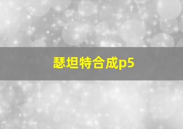 瑟坦特合成p5