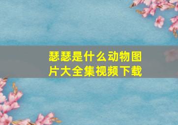 瑟瑟是什么动物图片大全集视频下载