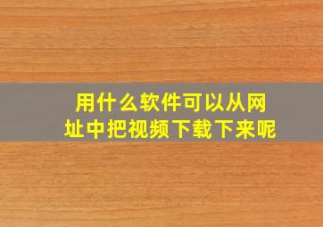 用什么软件可以从网址中把视频下载下来呢