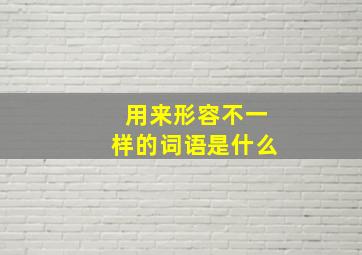 用来形容不一样的词语是什么