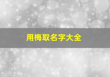 用梅取名字大全