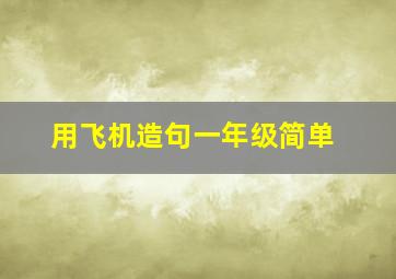 用飞机造句一年级简单