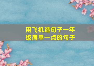 用飞机造句子一年级简单一点的句子