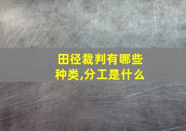 田径裁判有哪些种类,分工是什么