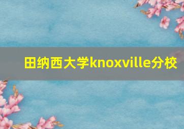 田纳西大学knoxville分校