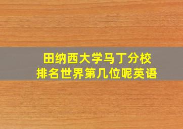 田纳西大学马丁分校排名世界第几位呢英语