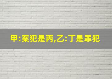 甲:案犯是丙,乙:丁是罪犯