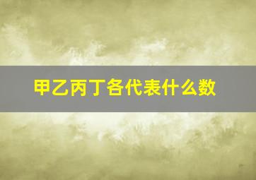 甲乙丙丁各代表什么数