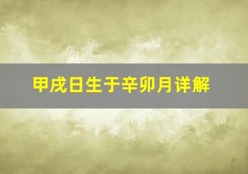 甲戌日生于辛卯月详解