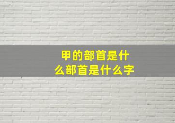 甲的部首是什么部首是什么字