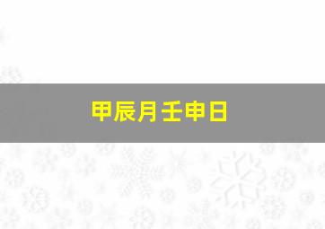 甲辰月壬申日