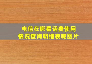 电信在哪看话费使用情况查询明细表呢图片