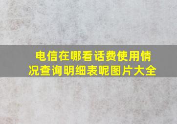 电信在哪看话费使用情况查询明细表呢图片大全