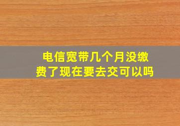 电信宽带几个月没缴费了现在要去交可以吗