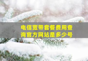 电信宽带套餐费用查询官方网站是多少号