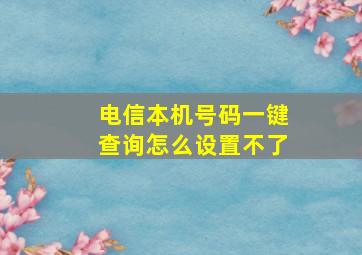 电信本机号码一键查询怎么设置不了