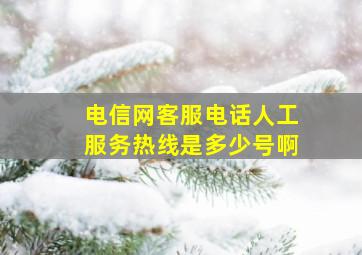 电信网客服电话人工服务热线是多少号啊