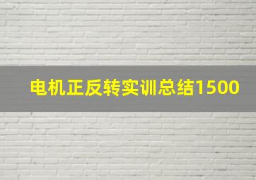 电机正反转实训总结1500