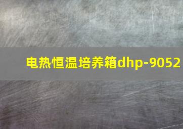 电热恒温培养箱dhp-9052