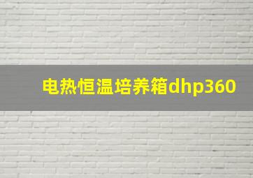 电热恒温培养箱dhp360