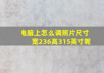 电脑上怎么调照片尺寸宽236高315英寸呢