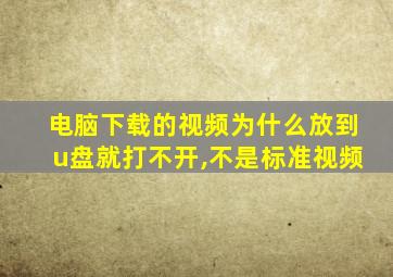 电脑下载的视频为什么放到u盘就打不开,不是标准视频