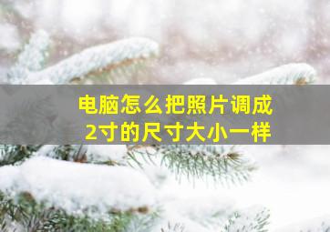 电脑怎么把照片调成2寸的尺寸大小一样