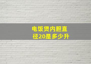 电饭煲内胆直径20是多少升