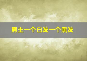 男主一个白发一个黑发