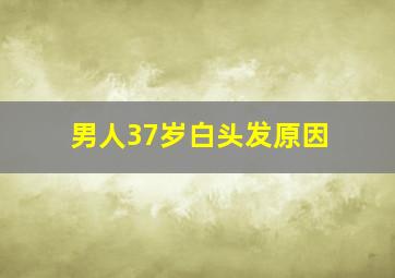 男人37岁白头发原因