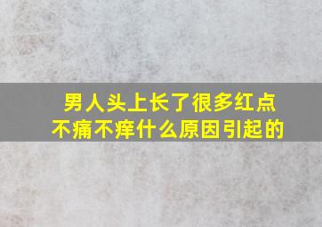 男人头上长了很多红点不痛不痒什么原因引起的