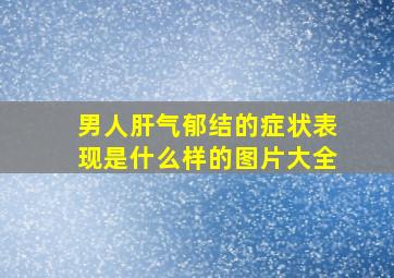 男人肝气郁结的症状表现是什么样的图片大全