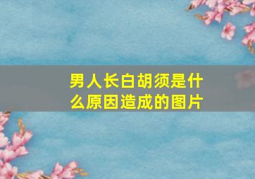 男人长白胡须是什么原因造成的图片