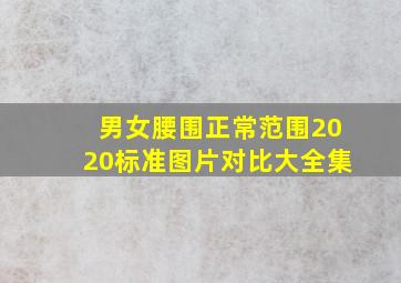 男女腰围正常范围2020标准图片对比大全集