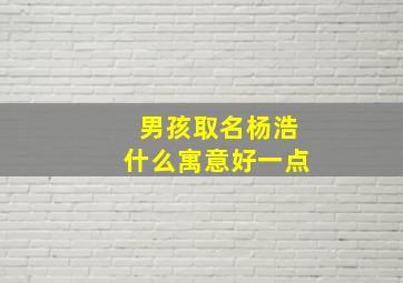 男孩取名杨浩什么寓意好一点