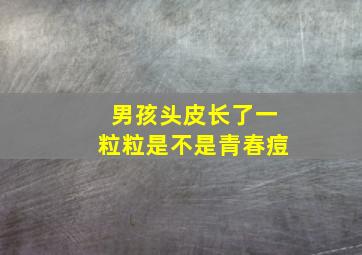 男孩头皮长了一粒粒是不是青春痘