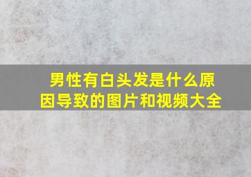 男性有白头发是什么原因导致的图片和视频大全