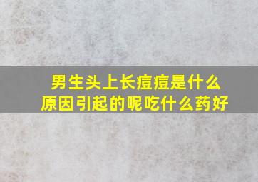 男生头上长痘痘是什么原因引起的呢吃什么药好