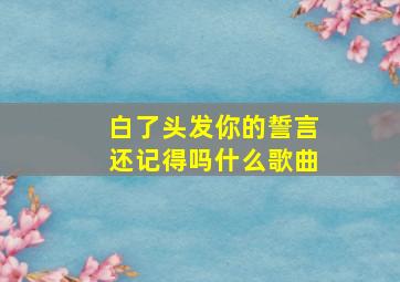 白了头发你的誓言还记得吗什么歌曲