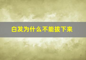 白发为什么不能拔下来