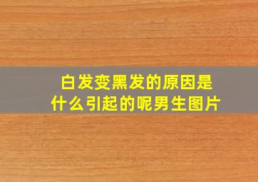 白发变黑发的原因是什么引起的呢男生图片