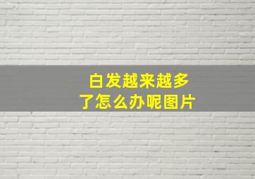 白发越来越多了怎么办呢图片