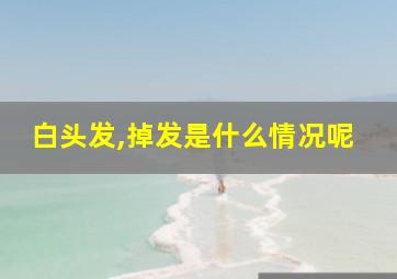 白头发,掉发是什么情况呢