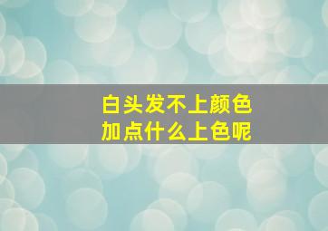 白头发不上颜色加点什么上色呢