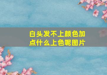 白头发不上颜色加点什么上色呢图片